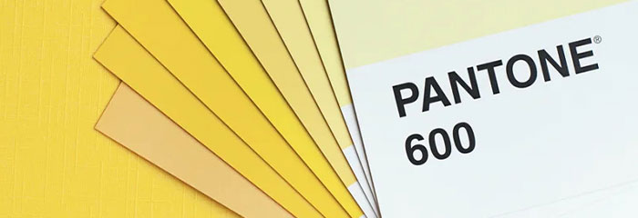 ETKİLEYİCİ GRAFİKLER